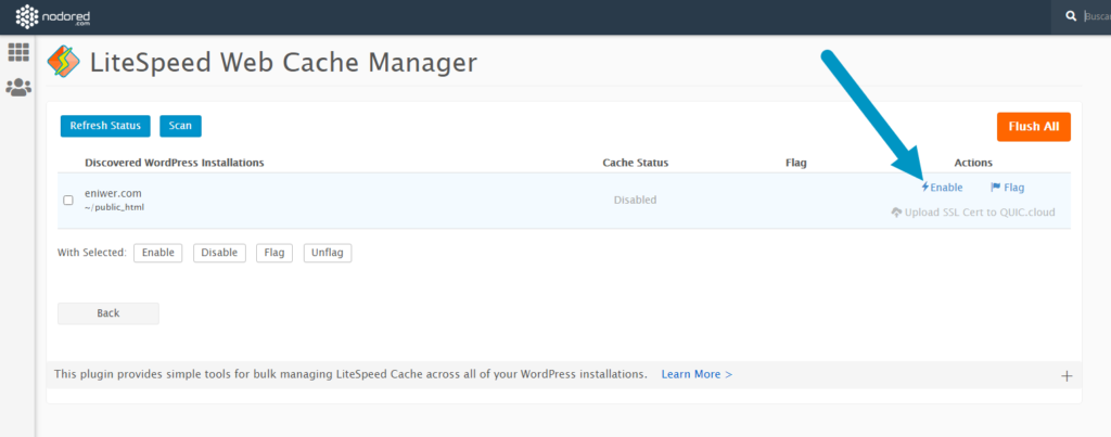 Instalar Litespeed desde cPanel