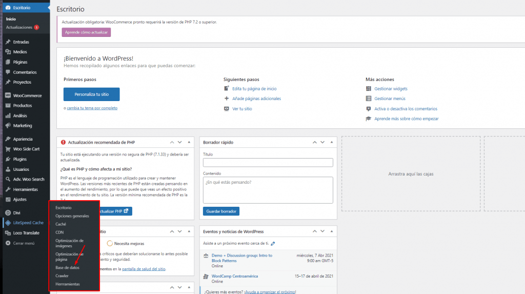 Optimizacion de Base de Datos con LiteSpeed Cache